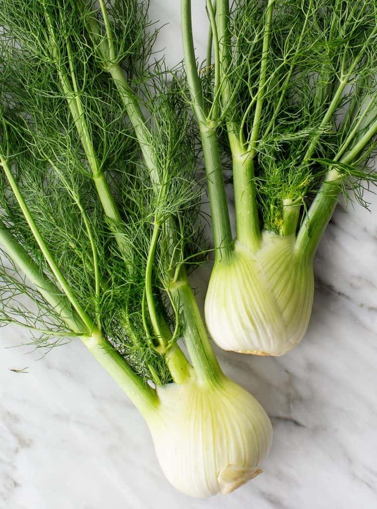 Fresh Florence fennel bulbs from Bulgaria — direct farm supply for gourmet restaurants and distributors