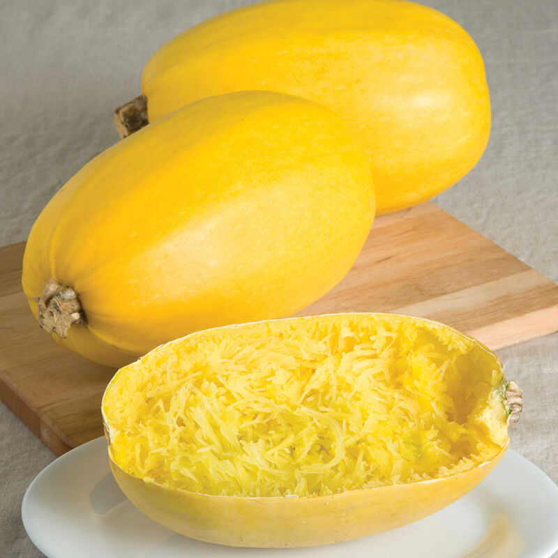 Golden spaghetti squash from Arkovna, Bulgaria — premium wholesale supply for health-food distributors